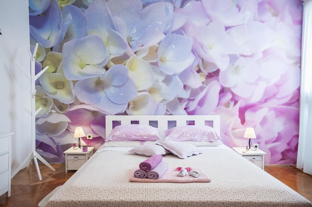 Zadar City Studios Bilik gambar